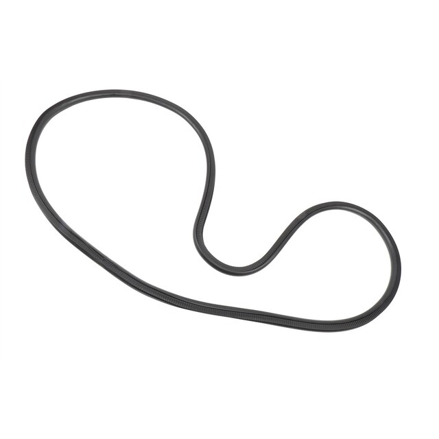 GM Genuine Parts Body Side Rear Side Door Weatherstrip