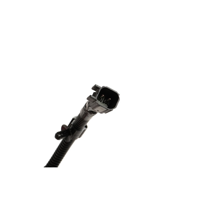Alternate Image