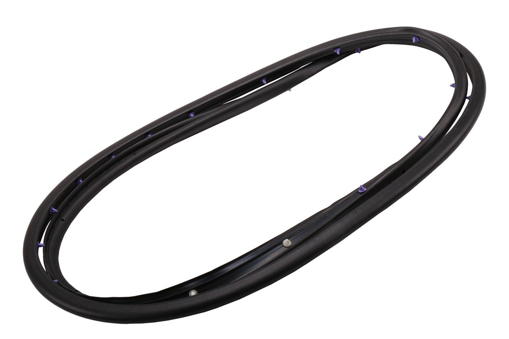 GM Genuine Parts Rear Passenger Side Door Weatherstrip