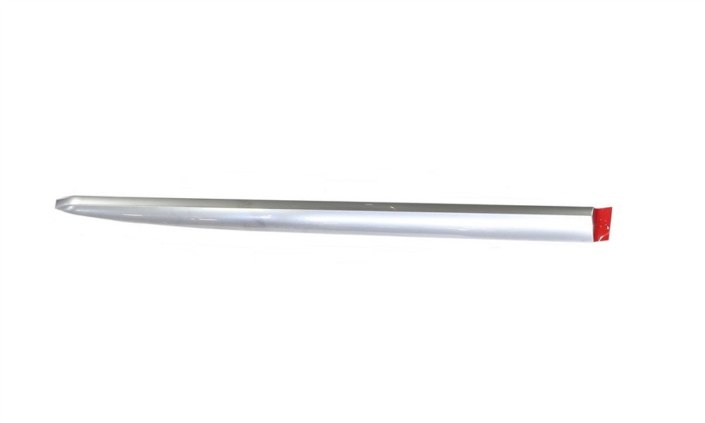 GM Genuine Parts Silver Rear Passenger Side Door Molding