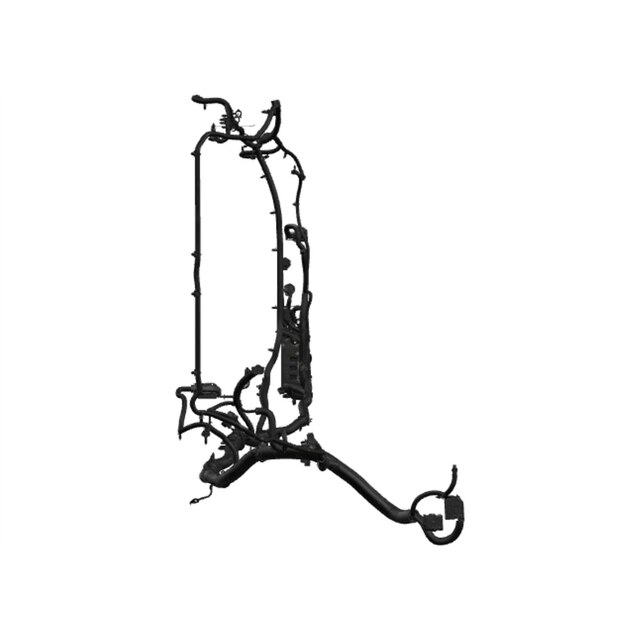 Alternate Image