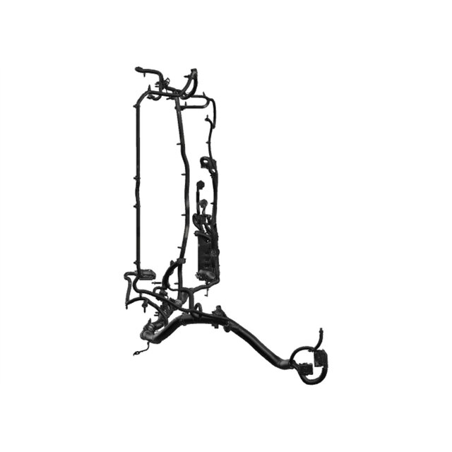 Alternate Image