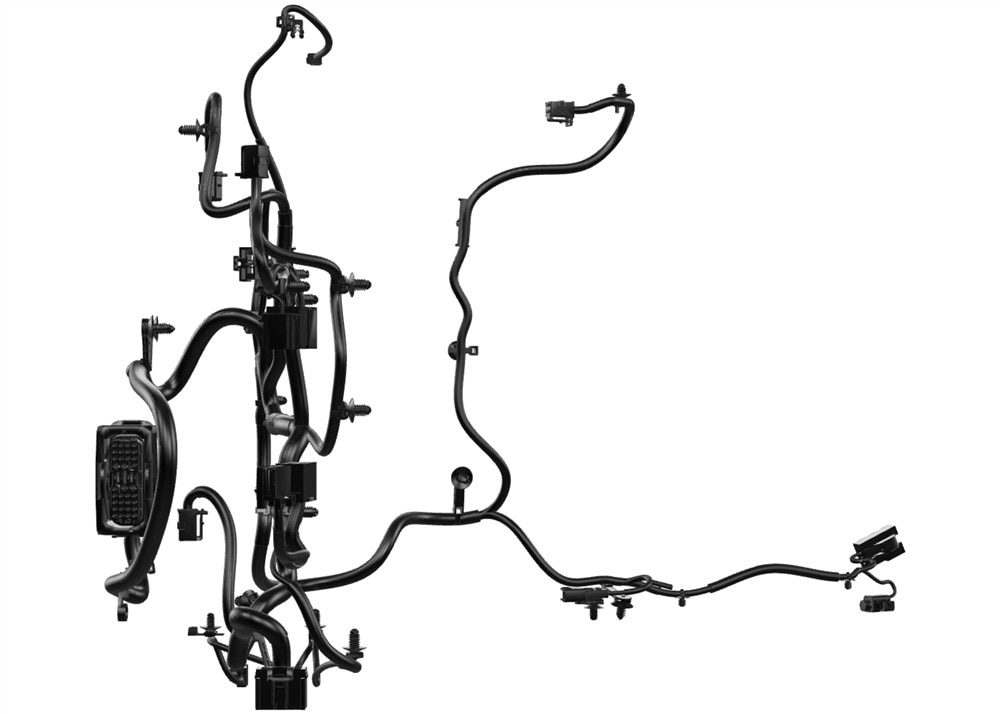 Alternate Image
