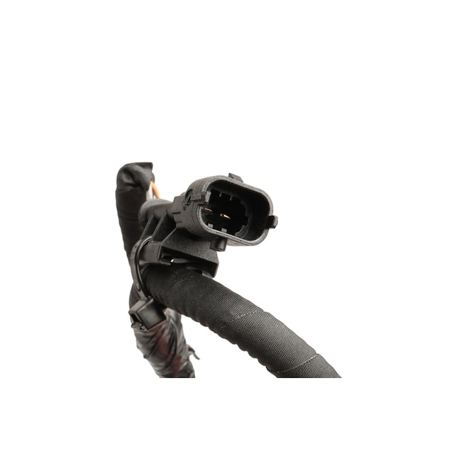 Alternate Image