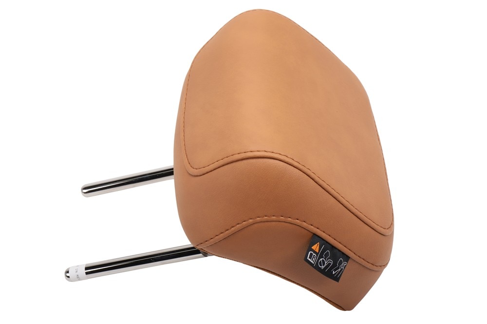 GM Genuine Parts Sedona Sauvage Rear Seat Center Head Restraint