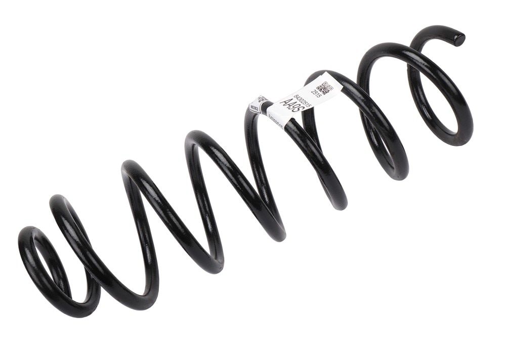 GM Genuine Parts Rear Coil Spring