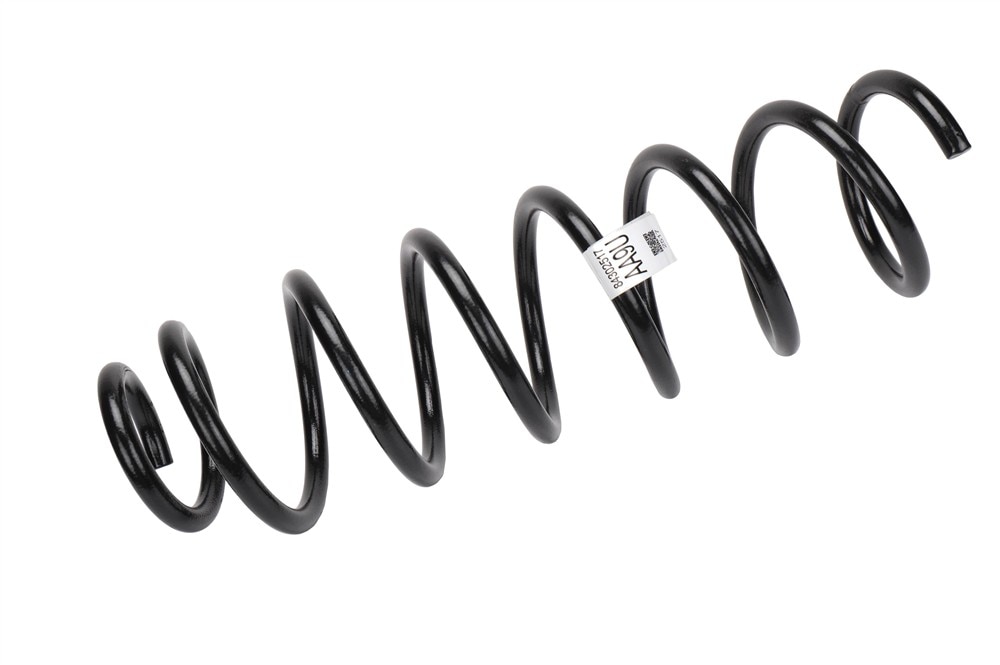 GM Genuine Parts Rear Coil Spring