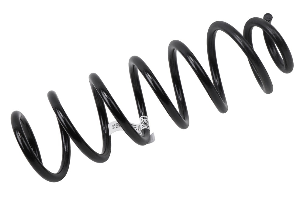 GM Genuine Parts Rear Coil Spring
