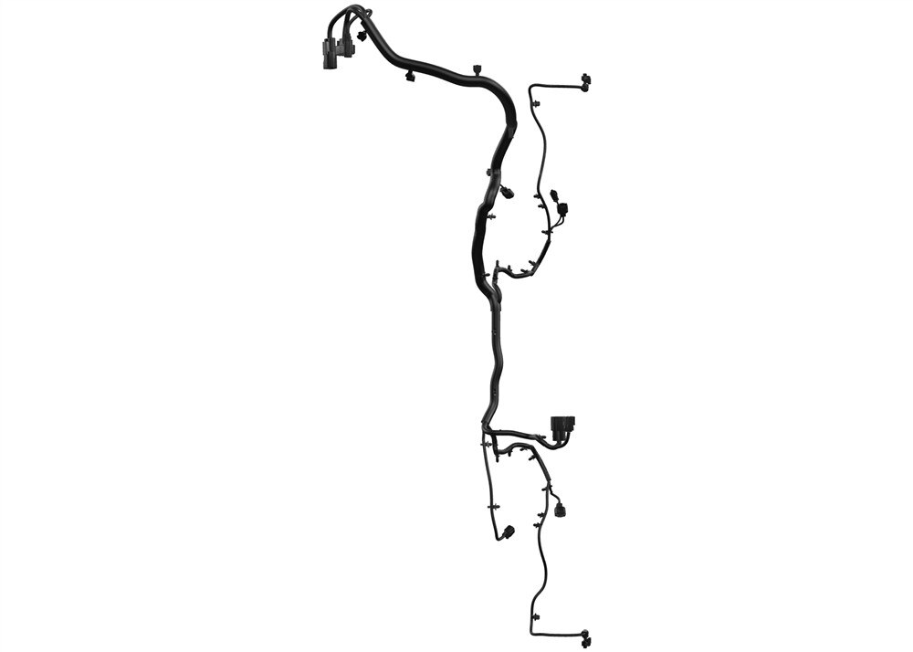 Alternate Image