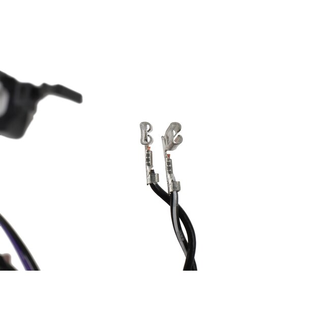 Alternate Image