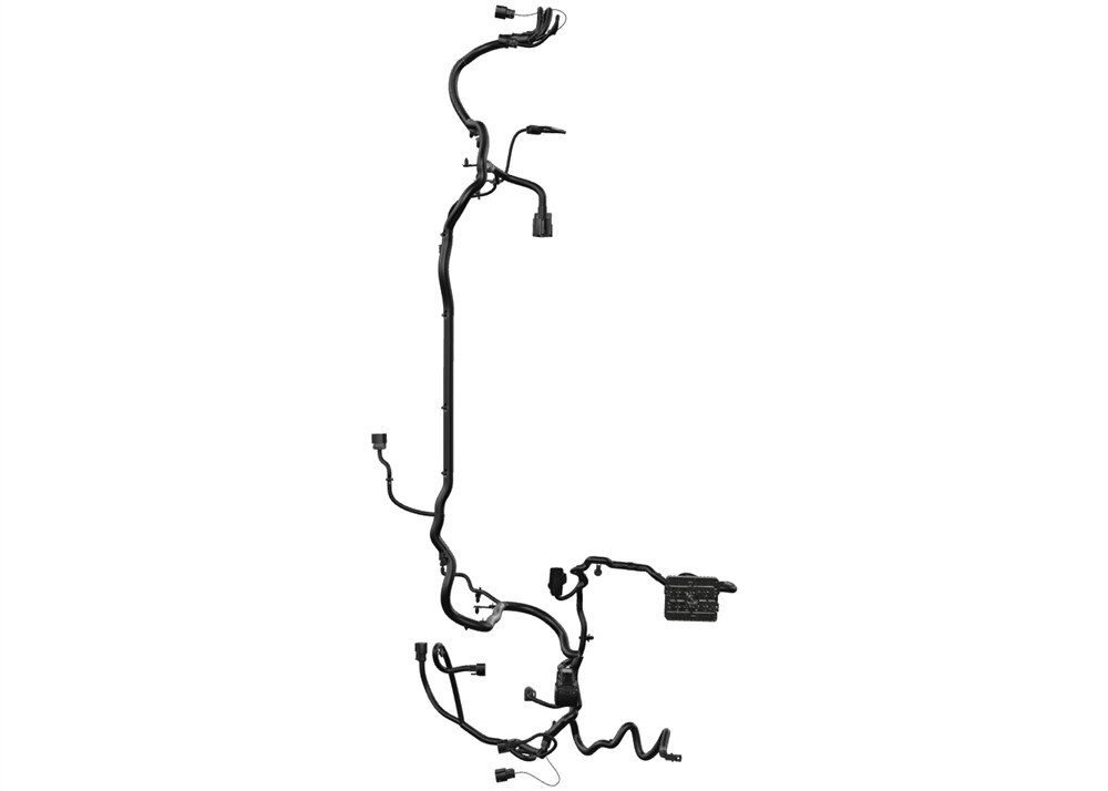 Alternate Image