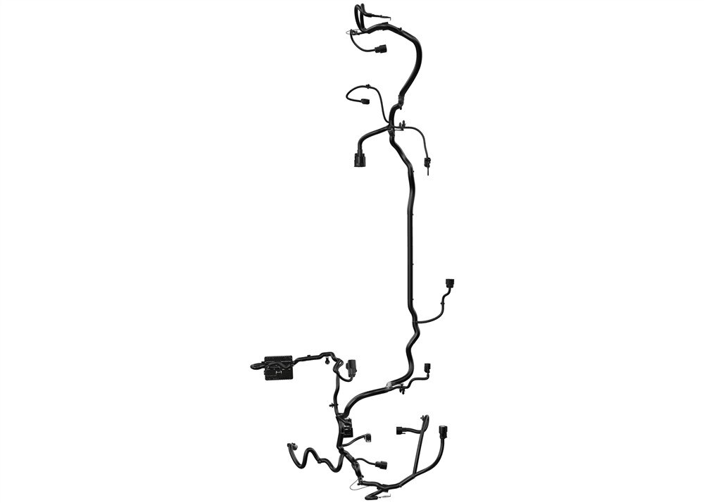 Alternate Image