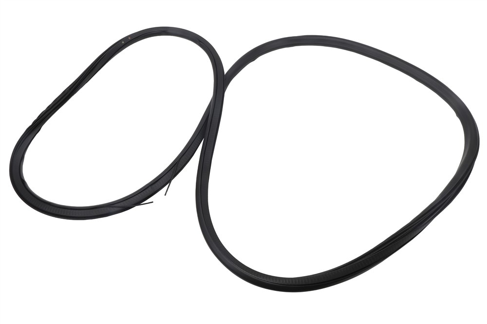 GM Genuine Parts Rear Side Door Body Side Weatherstrip
