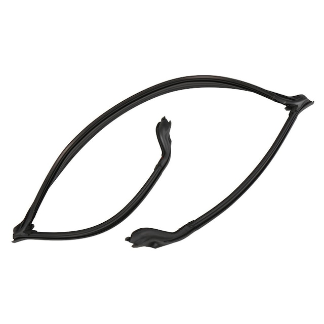 GM Genuine Parts Windshield Frame Weatherstrip