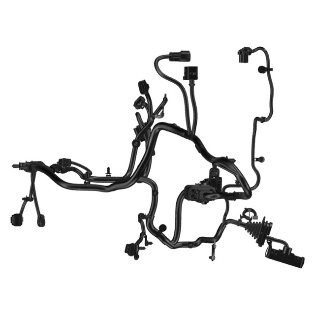 Alternate Image
