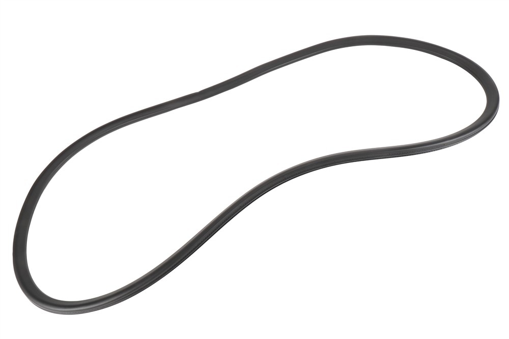 GM Genuine Parts Rear Side Door Body Side Weatherstrip