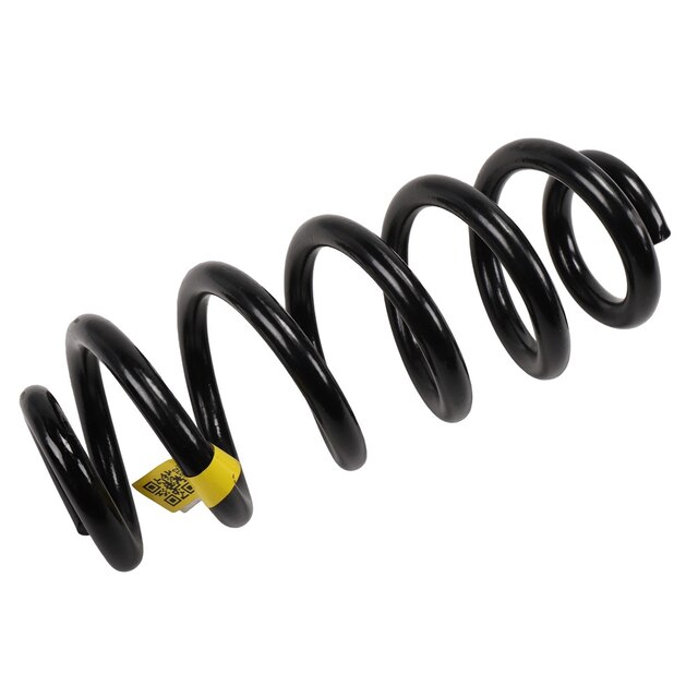 GM Genuine Parts Rear Coil Spring