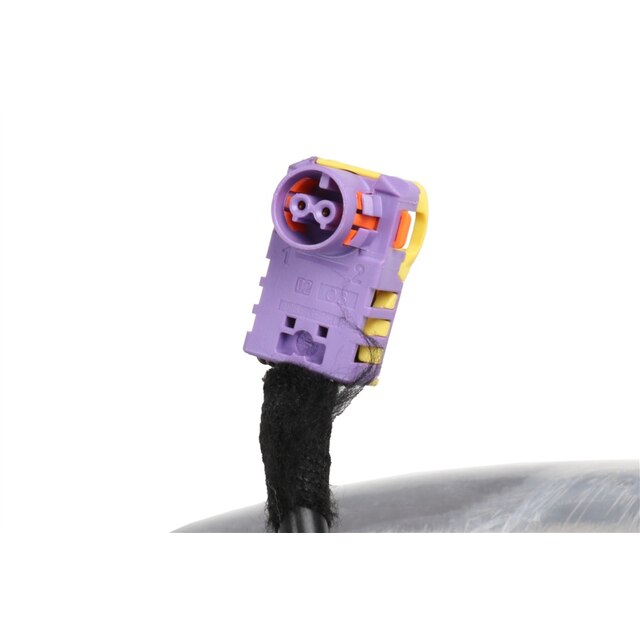 Alternate Image