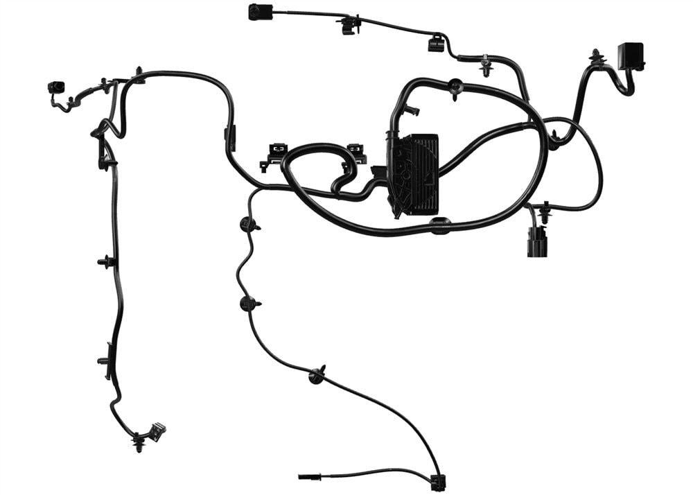 Alternate Image