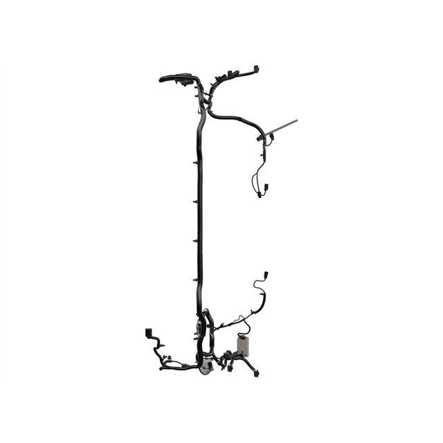 Alternate Image