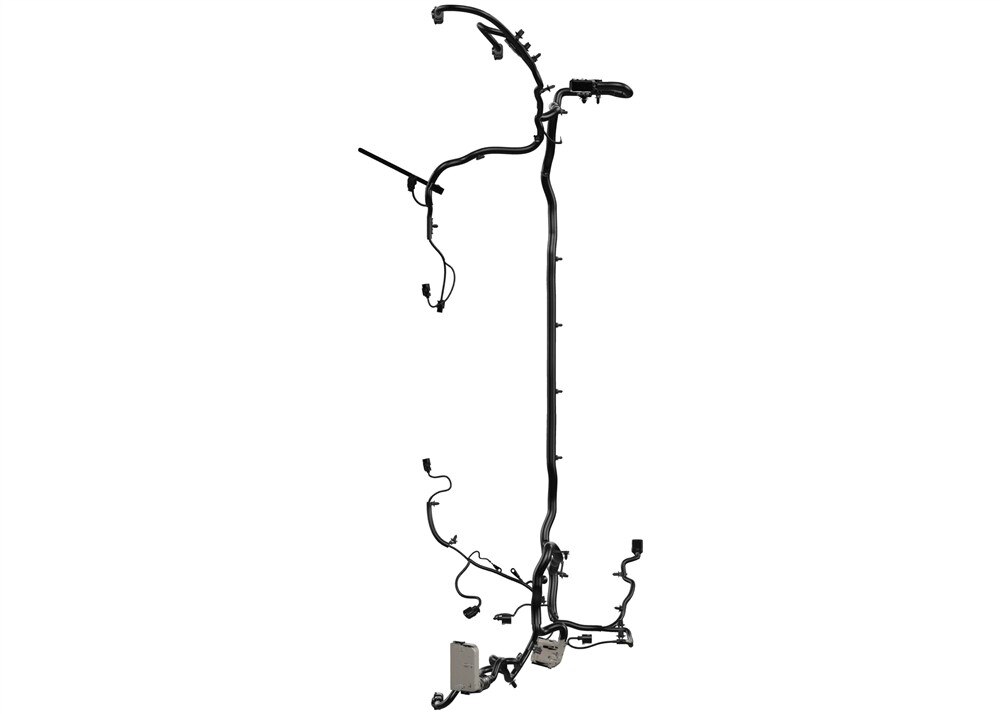 Alternate Image