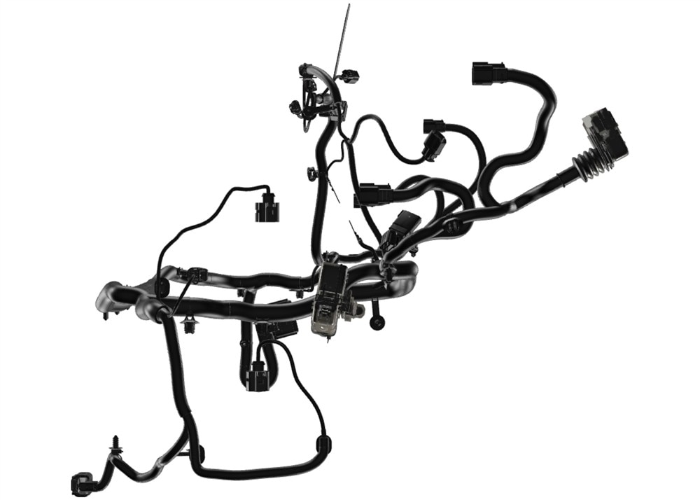 Alternate Image