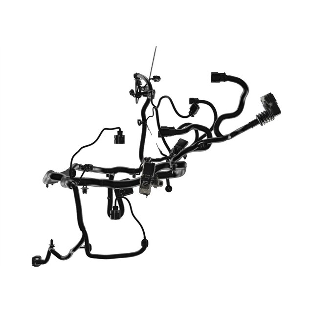 Alternate Image