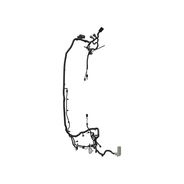 Alternate Image