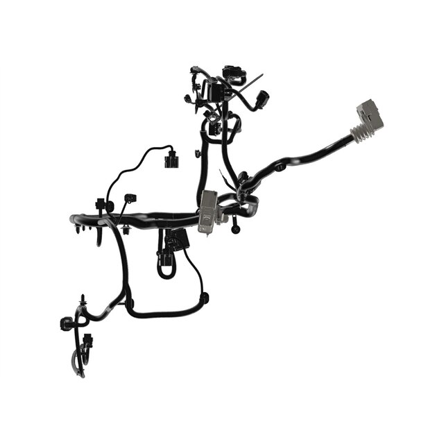 Alternate Image