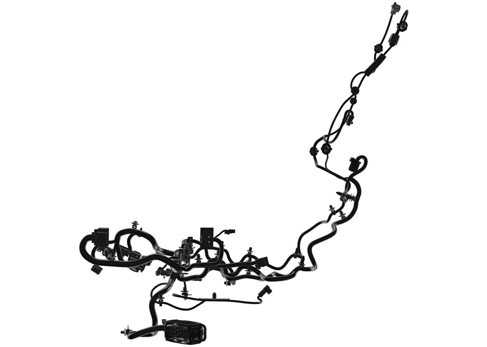 Alternate Image