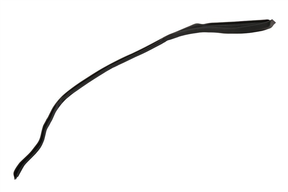 GM Genuine Parts Passenger Side Door Window Belt Weatherstrip