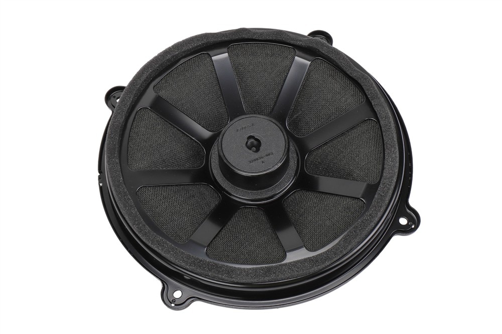 GM Genuine Parts Rear Radio Speaker