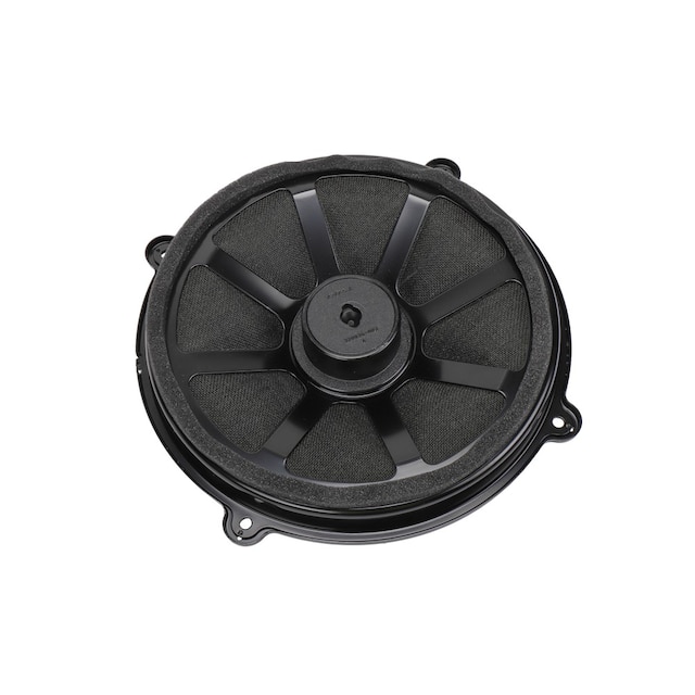 GM Genuine Parts Rear Radio Speaker