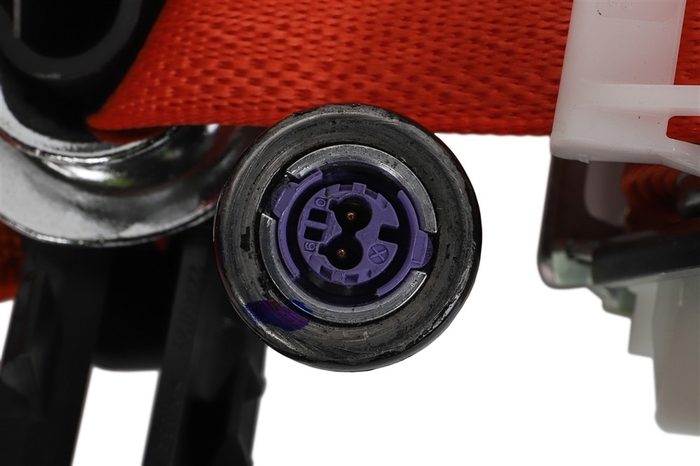 Alternate Image