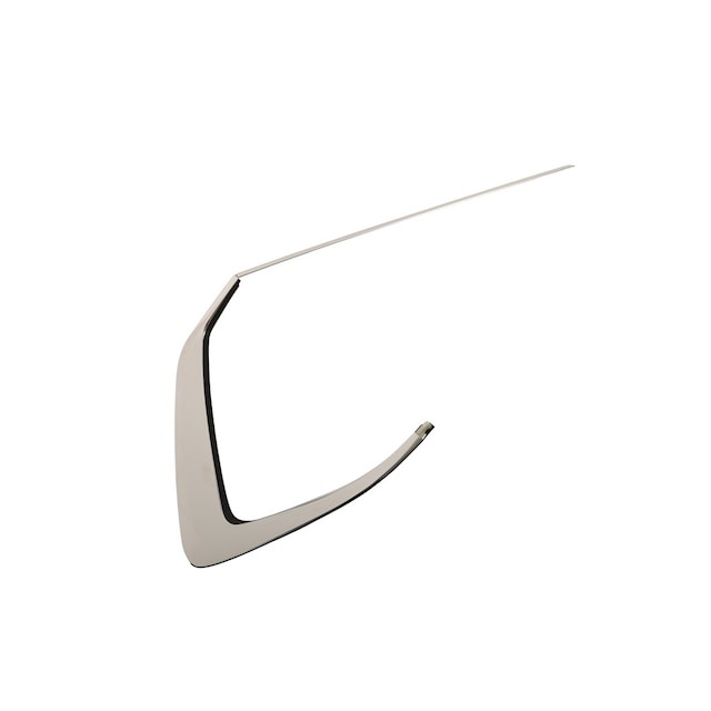 GM Genuine Parts Passenger Side Door Molding