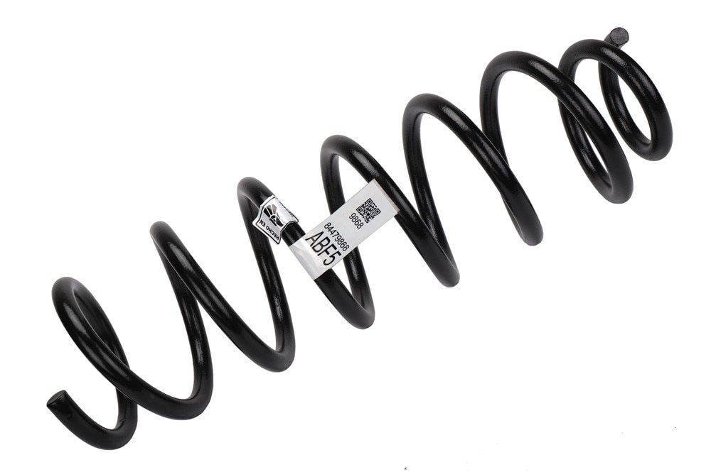 GM Genuine Parts Rear Coil Spring