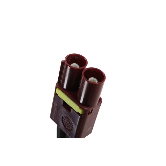 Alternate Image