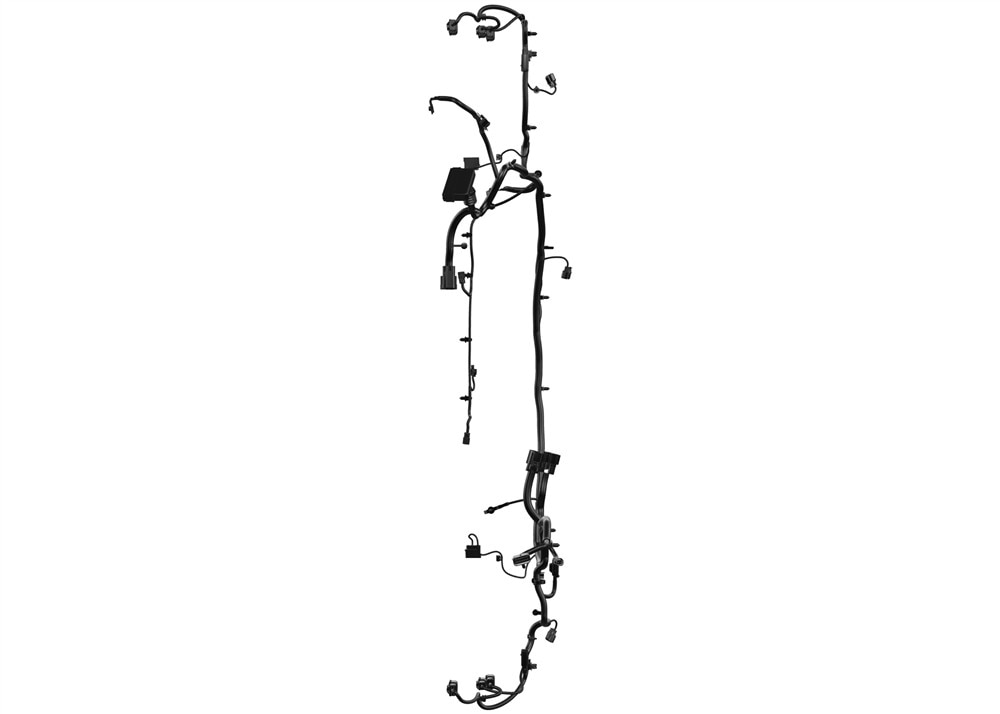Alternate Image