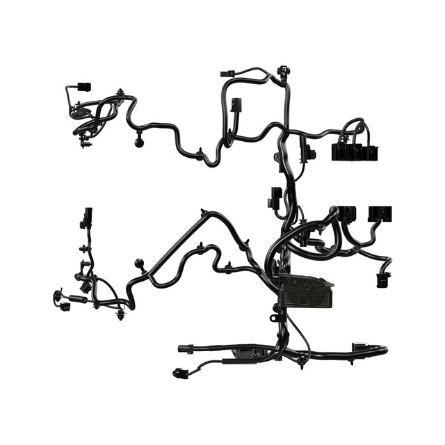 Alternate Image