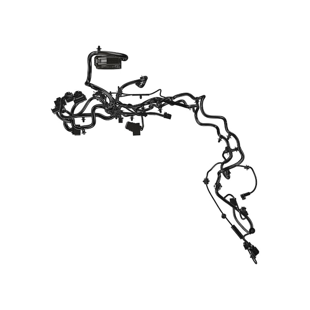 Alternate Image