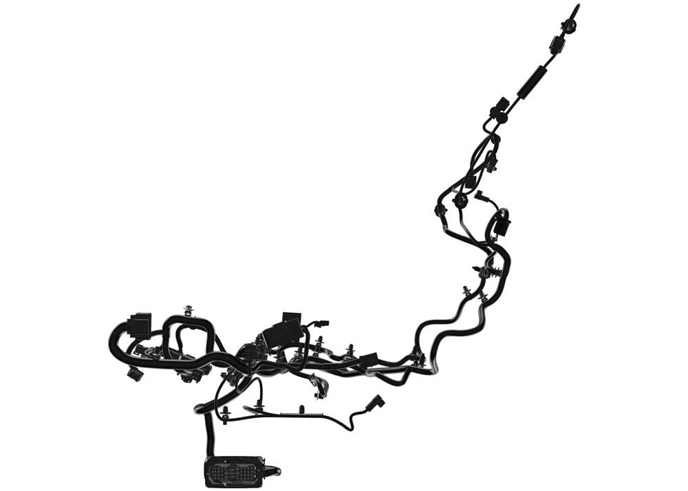 Alternate Image