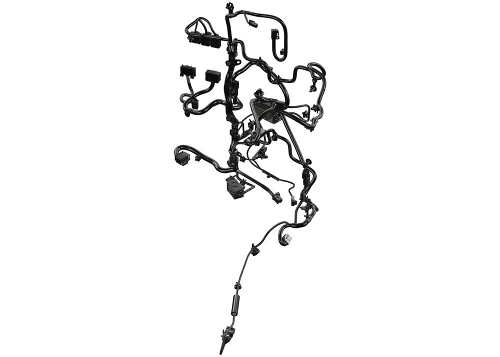 Primary Image