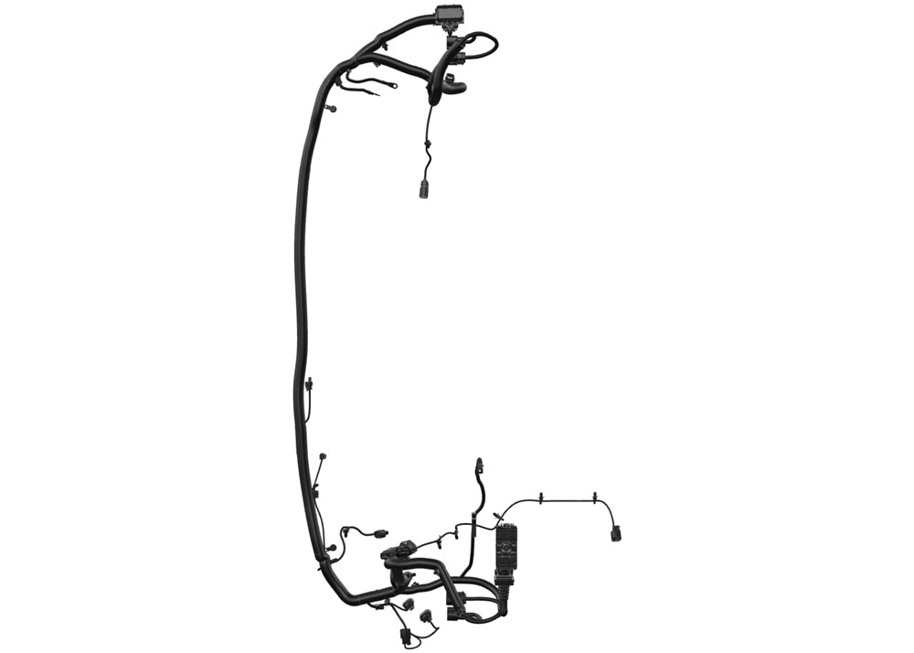 Alternate Image