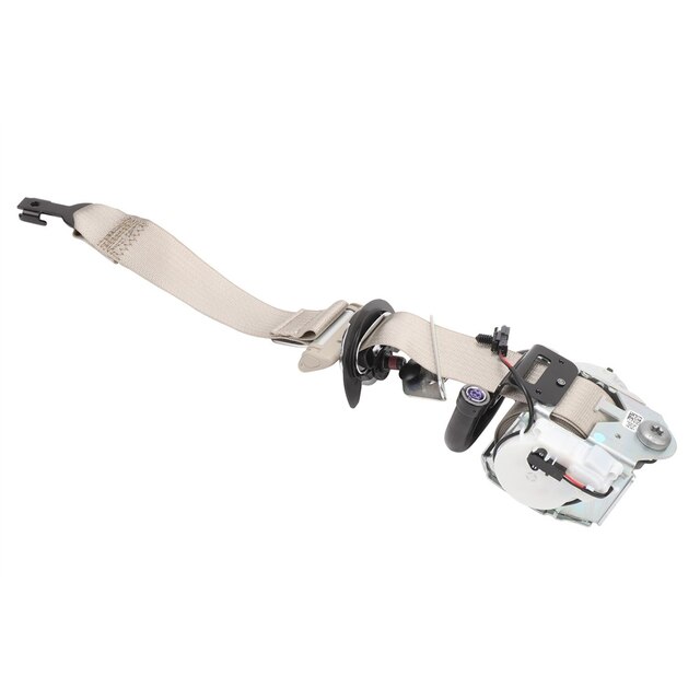 Alternate Image