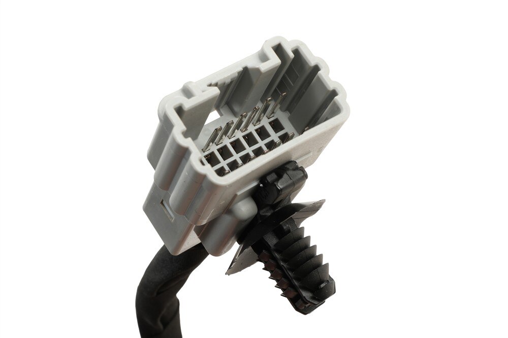 Alternate Image