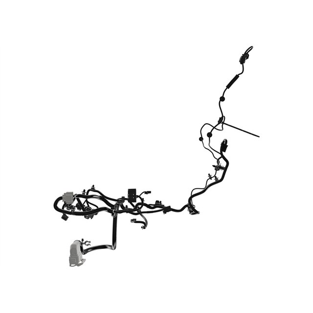 Alternate Image