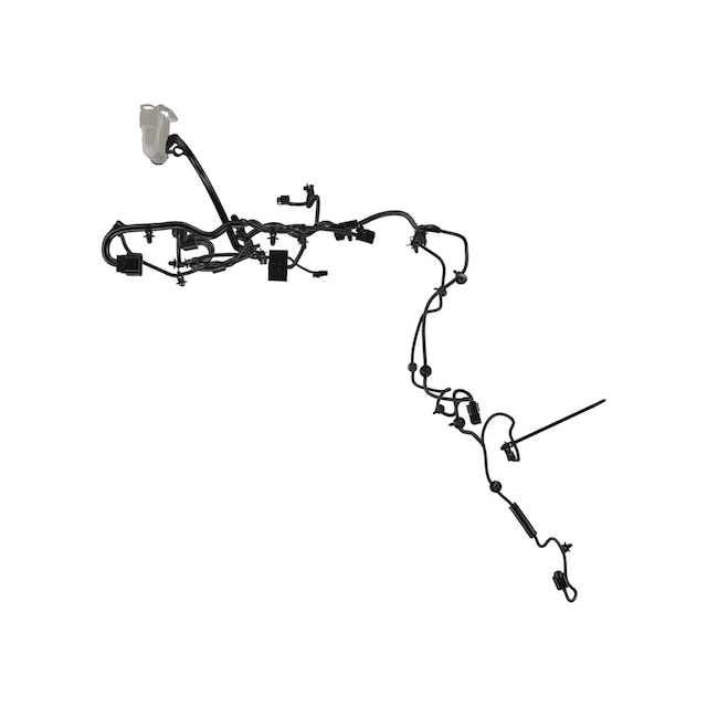 Alternate Image