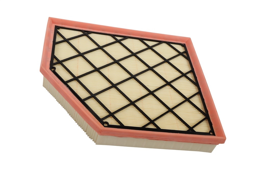 ACDelco GM Original Equipment Air Filter