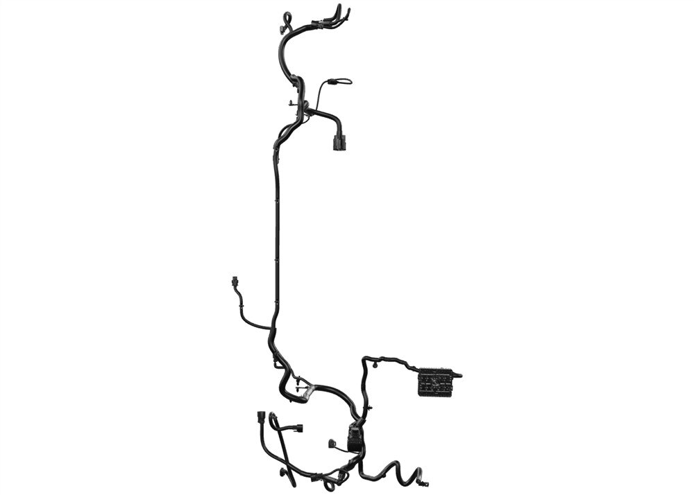 Alternate Image