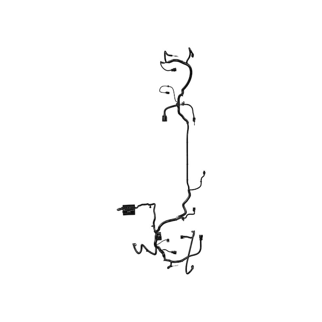 Alternate Image